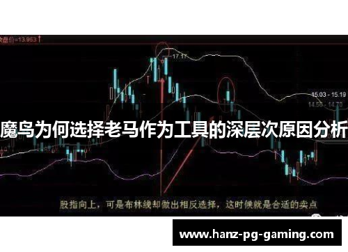 魔鸟为何选择老马作为工具的深层次原因分析