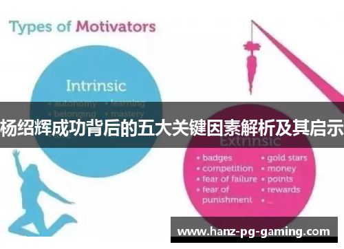 杨绍辉成功背后的五大关键因素解析及其启示