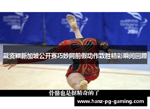 戴资颖新加坡公开赛巧妙网前假动作致胜精彩瞬间回顾