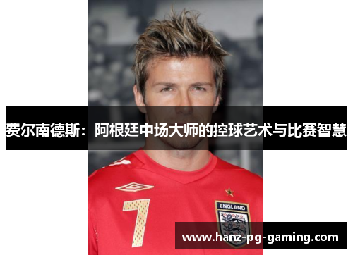 费尔南德斯：阿根廷中场大师的控球艺术与比赛智慧
